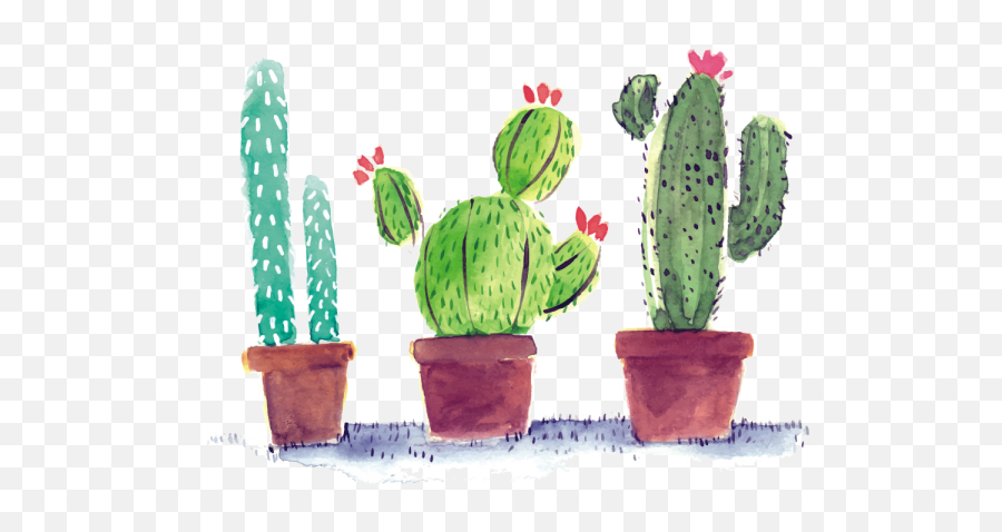 Watercolor Cactus In Pots Png