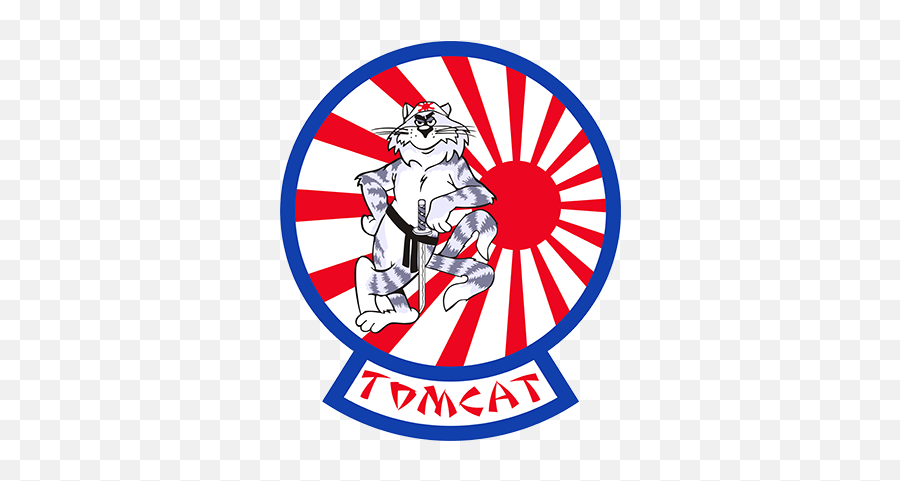 F - 14 Tomcat Fighters F14 Tomcat Fighter Beatles Rising Sun Png,Tomcat Icon