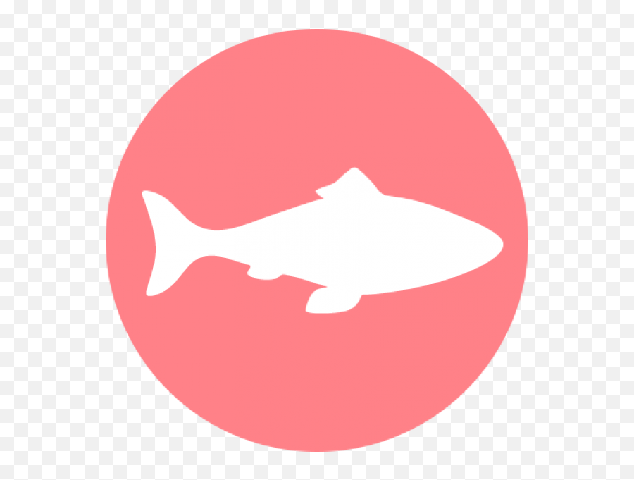Our Story U2013 Halo Pets - Meat Chicken And Fish Icon Png,Animal Feed Icon