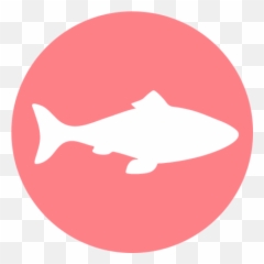 Our Story U2013 Halo Pets - Meat Chicken And Fish Icon png