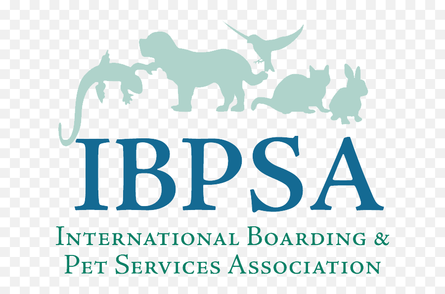 Idogcam - International Boarding Pet Services Association Png,Puppy Live Wallpaper Icon