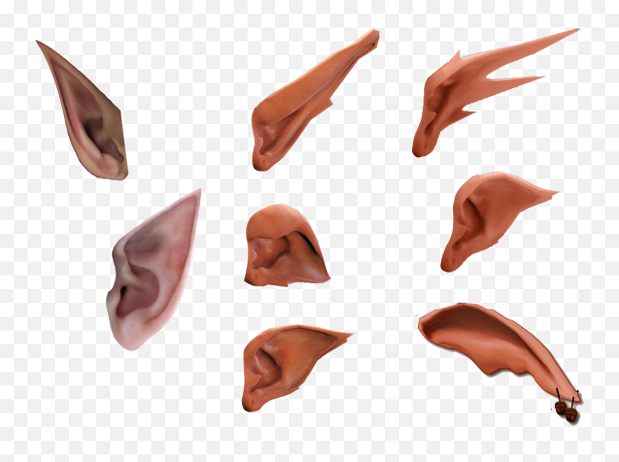 Elf Ear Png - Elven Ears Png,Elf Ears Png