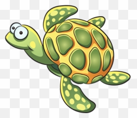 Pet Clipart Green Turtle Transparent Free - Turtle Drawing Png,Turtle Clipart Png
