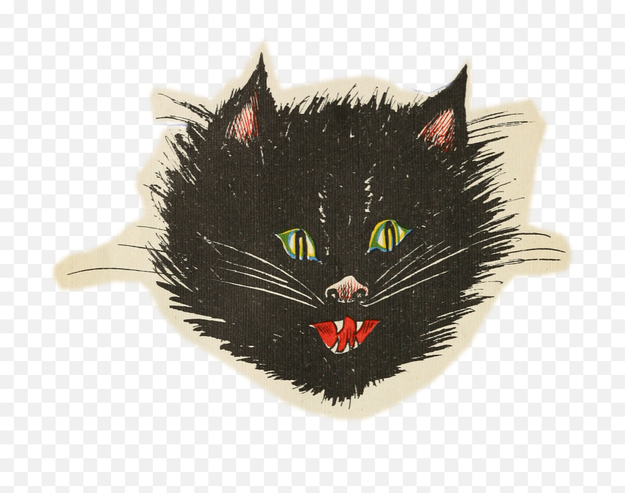 Little Gray Mouse - Black Cat Png,Cat Eyes Png