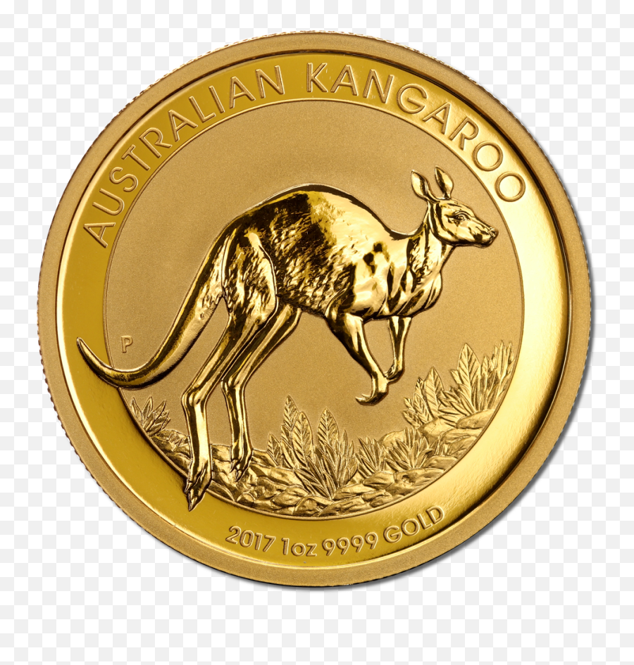 Filekangaroo Gold Coin 2017 Reversepng - Wikimedia Commons Austalian Gold Coin Png,Gold Coins Png