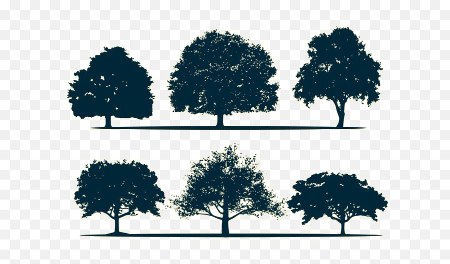 Silhouette Oak Tree - Tree Silhouette Png Download 700490 Vector Oak Tree,Oak Tree Silhouette Png