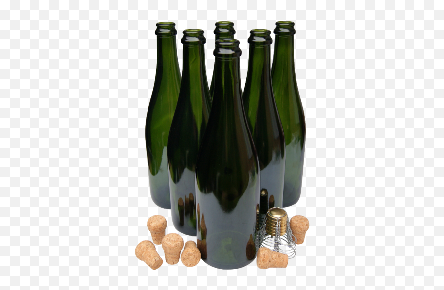 75cl Champagne Sparkling Wine Bottles With Traditional Corks U0026 Cages - Box Of 6 Champagne Png,Champagne Bottles Png