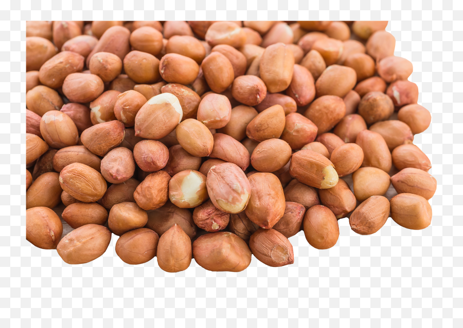 Download Peanuts - Pea Nuts Transparent Background Png,Peanut Png