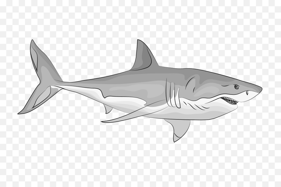 Great White Shark Clipart - Great White Shark Clipart Png,Great White Shark Png