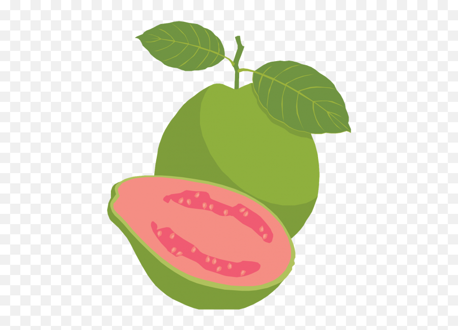 Png - Guava Clipart Png,Guava Png