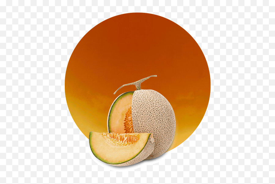 Cantaloupe Melon Concentrate - Manufacturer And Supplier Vegetarian Cuisine Png,Melon Png