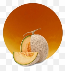Cantaloupe Melon Concentrate - Manufacturer And Supplier Vegetarian Cuisine Png,Melon Png