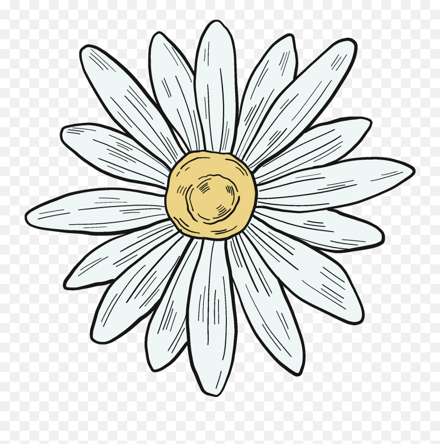 Clipart - Daisy Clipart Png,Daisies Png