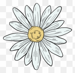 Clipart - Daisy Clipart Png,Daisies Png