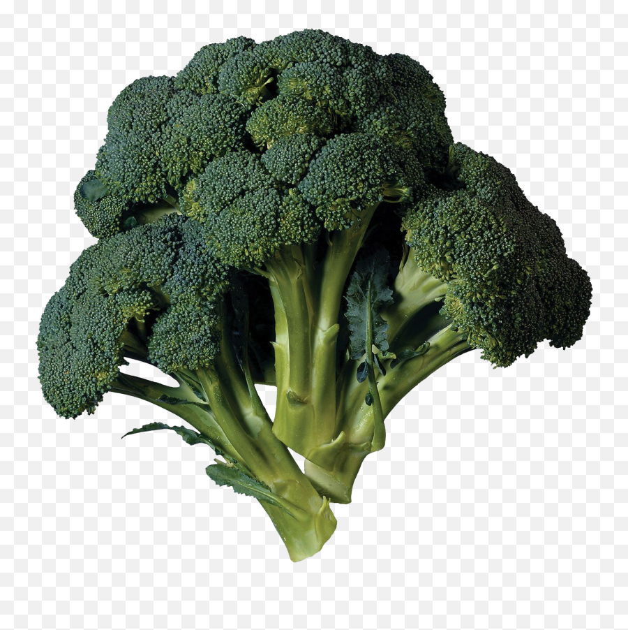 Green Broccoli Png Transparent Image Mart - Broccoli Transparent,Cabbage Transparent Background
