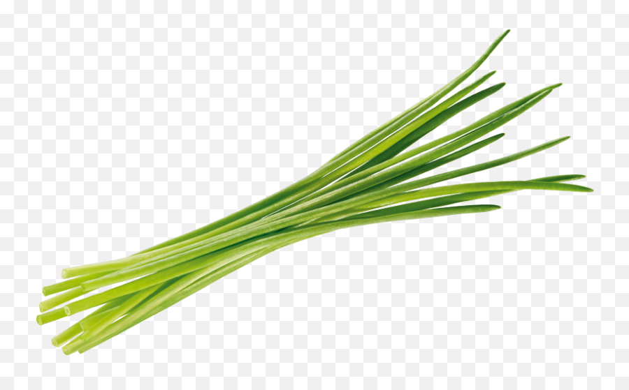 Download Hd Chives Tomato Transparent Background - Erba Chives Png,Tomato Transparent Background