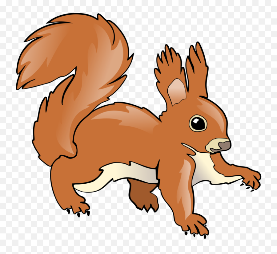 Snoutwildlifesquirrel Png Clipart - Royalty Free Svg Png Squirrel Clipart,Chipmunk Png