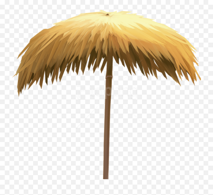 Download Free Png Straw Beach Umbrella