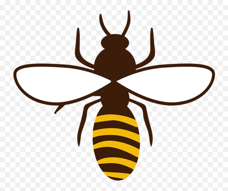 Honey Bee Clipart - Parasitism Png,Transparent Bee