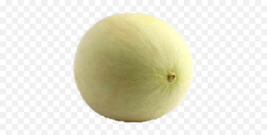 Honeydew 1 Whole Melon - Galia Melon Png,Honeydew Png