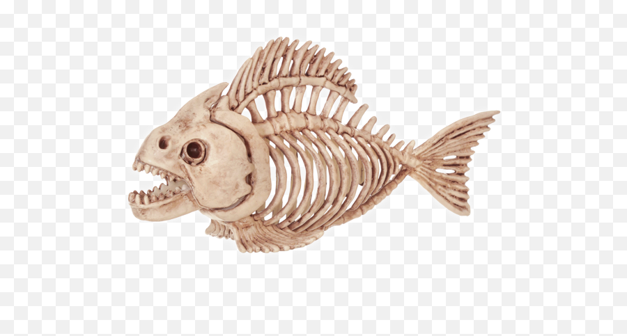 Fish Skeleton Halloween Decoration - Halloween Animal Skeleton Decorations Png,Fish Skeleton Png