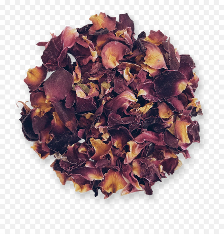 Roses - Sea Vegetables Png,Rose Petals Transparent