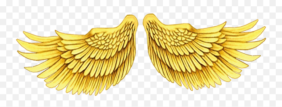 Free Png Wings - Transparent Background Golden Wings,Gold Wings Png