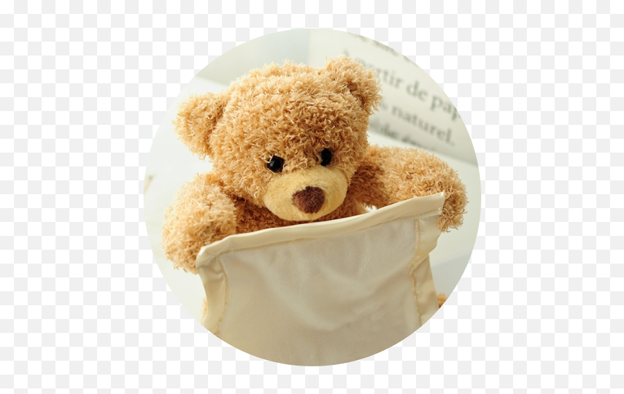 Peek - Aboo Bear Toy Jedoo Shop Soft Png,Peek Icon