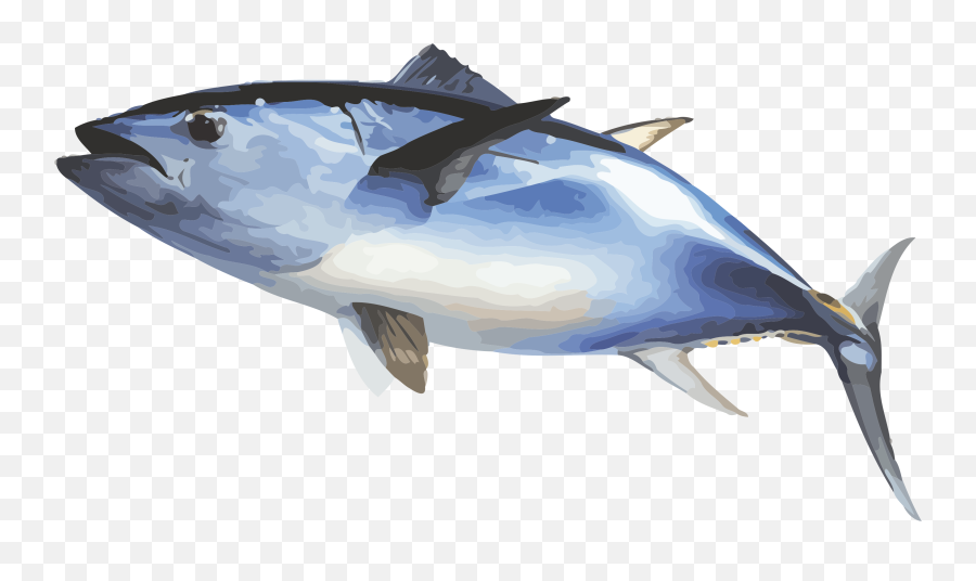 Big Fish Png - Thon À Nageoire Bleue Transparent Cartoon Blue Fin Tuna Png,Fish Png