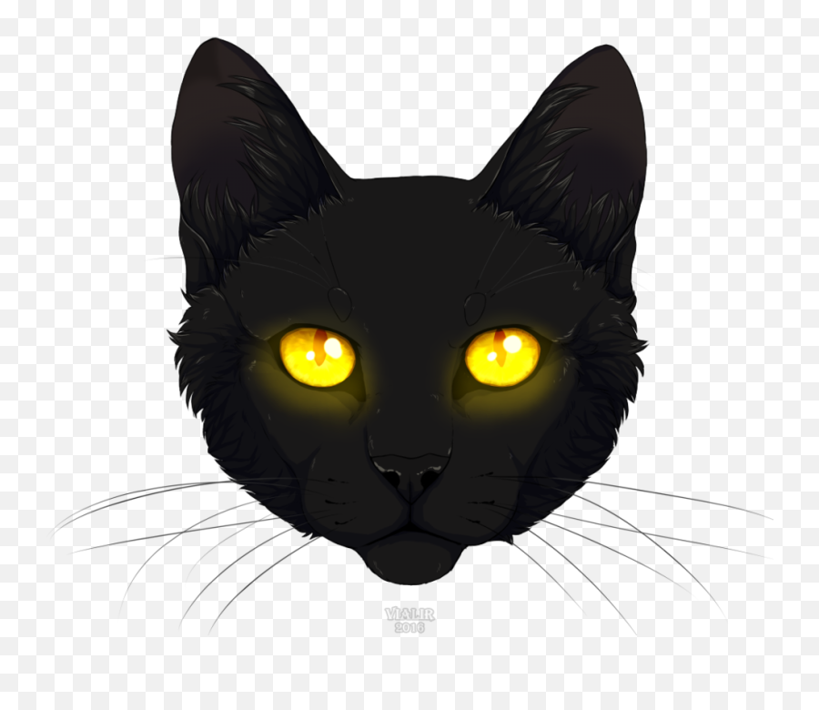 Black Cat Head Png Transparent - Black Cat Head Png,Cat Head Png