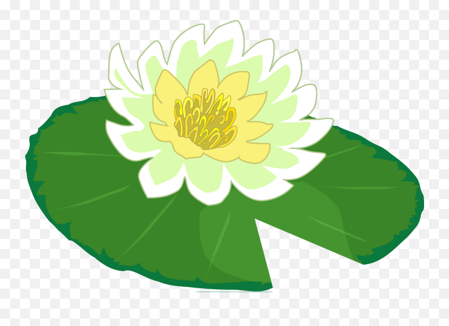 Lily Clipart Transparent Background - Lily Pad Png,Lily Transparent Background