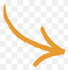 Download Hd Education And Raising Awareness The Key For Our - Pijl Png Oranje,Orange Arrow Png