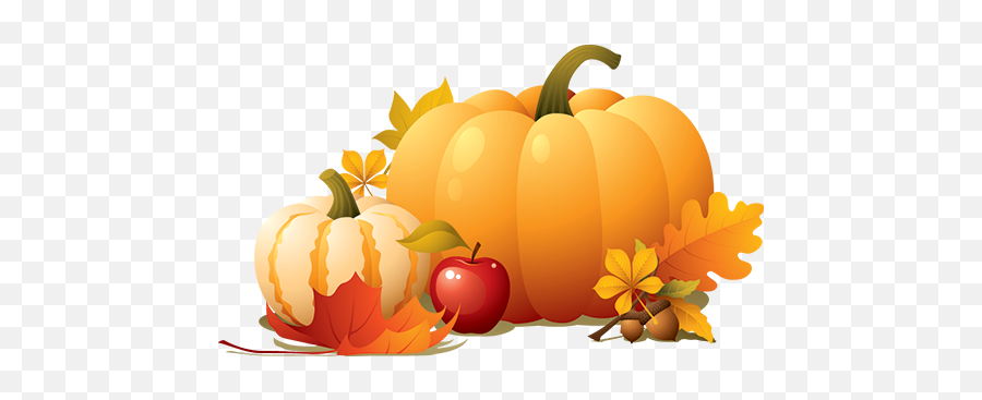 Download Alphagraphics Rochester - Thanksgiving Pumpkin Png Thanksgiving Pumpkins Png,Pumpkins Png