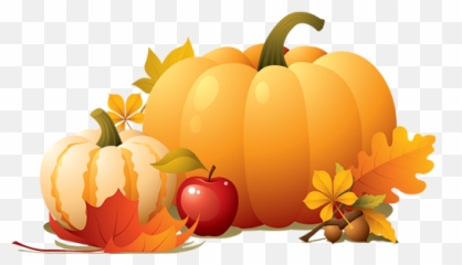 Download Alphagraphics Rochester - Thanksgiving Pumpkin Png Pumpkins