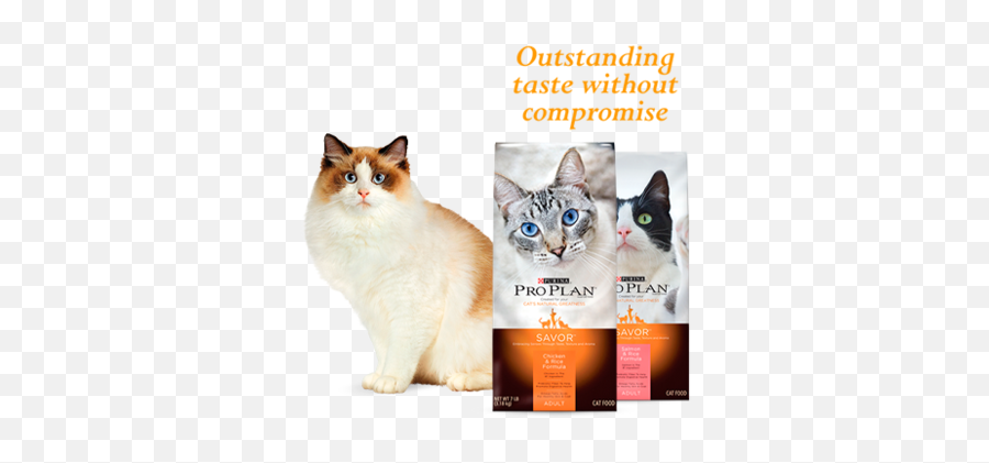 Pro Plan Cats Specialized Nutrition - Concentrado Proplan Gato Png,Cat Whiskers Png