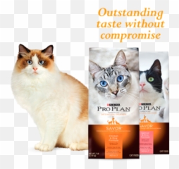 Pro Plan Cats Specialized Nutrition - Concentrado Proplan Gato png
