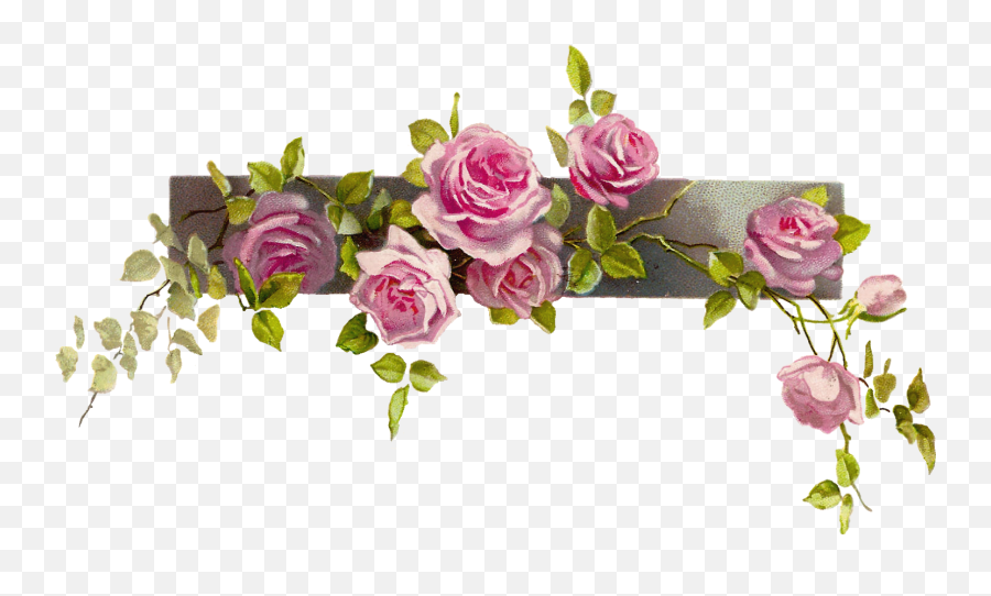 Clipcookdiarynet - Pink Rose Clipart Png Format 25 1600 Vintage Flower Border Png,Pink Roses Png