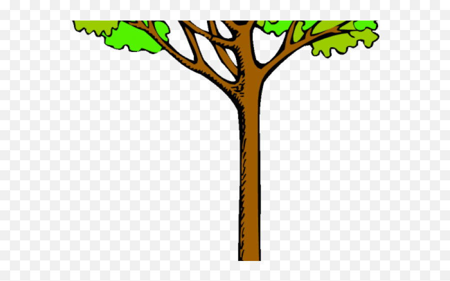 Tree Clipart Rainforest - Cartoon Kauri Tree Tall Tree Clipart Png,Rainforest Png