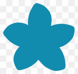 Download Hd Futna Flower Plumeria Turquoise Transparent Png - Clip Art,Plumeria Flower Png