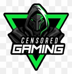 Virtual Pro Gaming The Future Of Esports - Training Air Wing 3 Patch Png,Censored Transparent