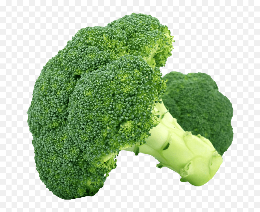 Broccoli Vegetable Steaming Fruit - Broccoli Cauliflower Png,Broccoli Png