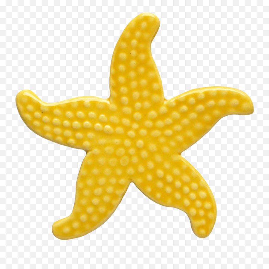 Yellow Starfish Mosaic Custom Mosaics - Yellow Starfish Png,Starfish Png