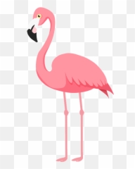 Flamingo Bird Pink - Illustration png
