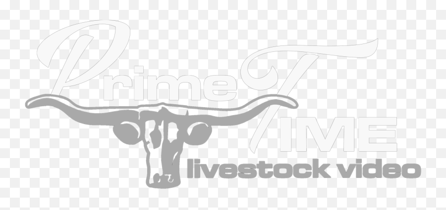 Prime Time Livestock - Sayerlack Png,Windows Longhorn Logo