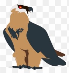 Bearded Vulture - Buzzard Png,Vulture Transparent