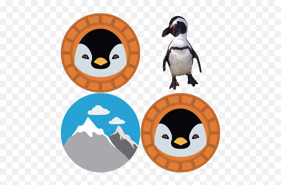 Penguins - Content Classconnect Penguin Png,Penguins Icon