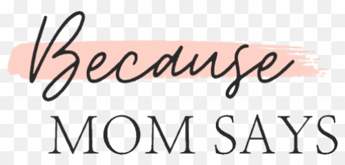 Because Mom Says - Cleaning Organization Self Help Horizontal png