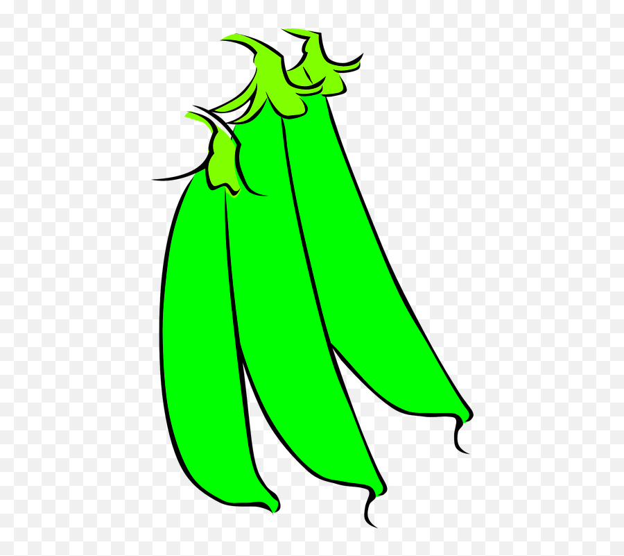 Pea Png - Sugar Snap Peas Clipart,Vegetable Garden Png