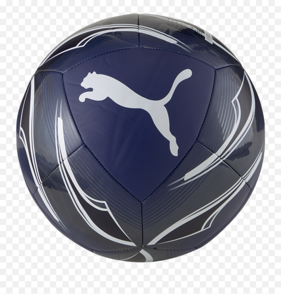 Puma Mty Icon Soccer Ball Png 8