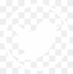 Rachel Gee - Senior Director Project Management and Johns Hopkins Logo White png